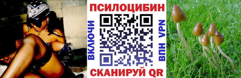 купить наркотик  Алагир  shop какой сайт  Галлюциногенные грибы мухоморы 